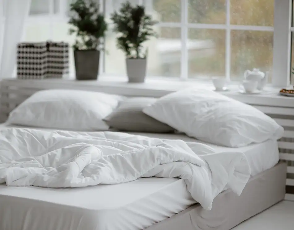 CiBug_Insektenfalle_Bettwanzenfalle_Bettwanzen_Hotel_Ferienwohnung